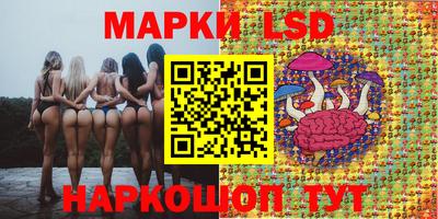 молекула духа Тверь