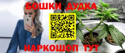 молекула духа Тверь