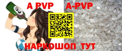 молекула духа Тверь