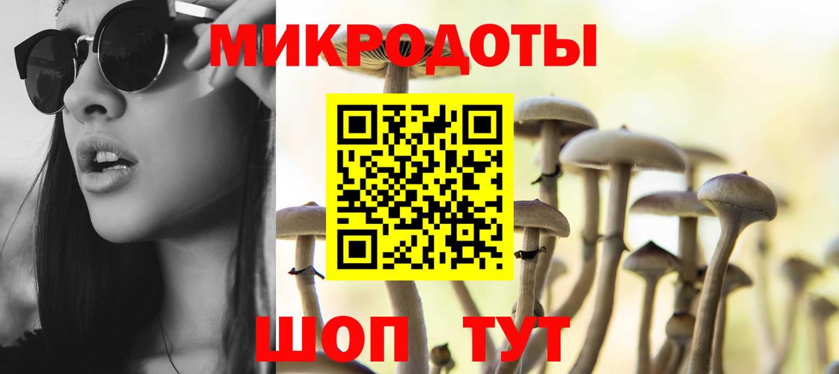 Галлюциногенные грибы Psilocybe Бахчисарай